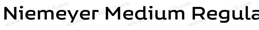 Niemeyer Medium Regular字体转换